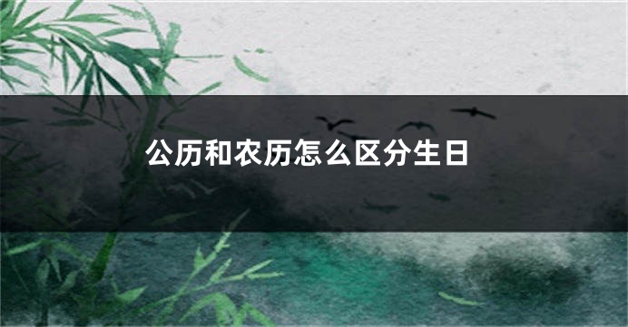 公历和农历怎么区分生日