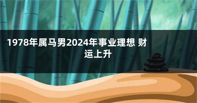 1978年属马男2024年事业理想 财运上升