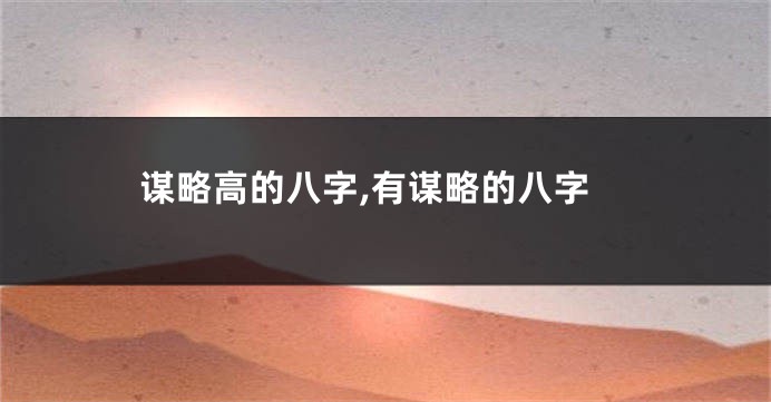 谋略高的八字,有谋略的八字