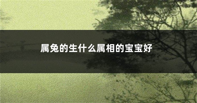 属兔的生什么属相的宝宝好