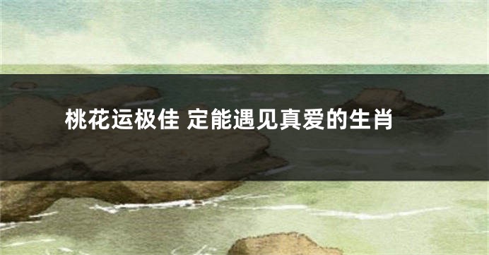 桃花运极佳 定能遇见真爱的生肖