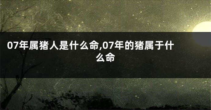07年属猪人是什么命,07年的猪属于什么命