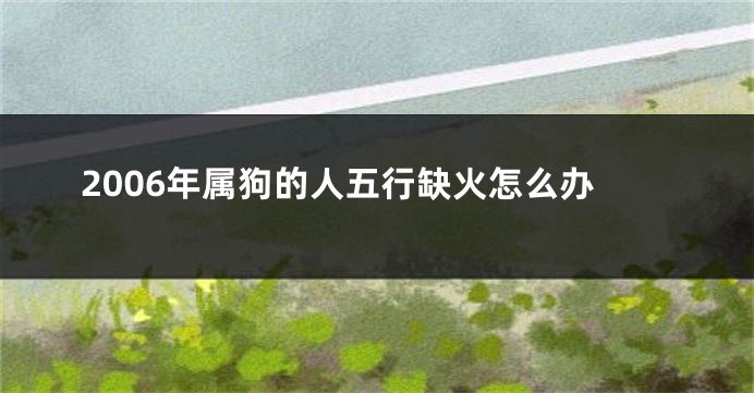 2006年属狗的人五行缺火怎么办