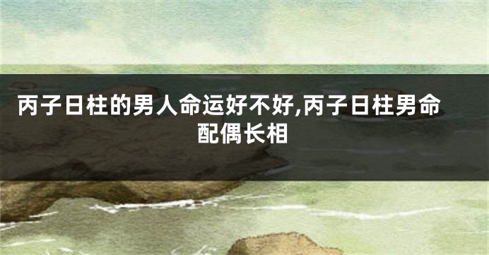 丙子日柱的男人命运好不好,丙子日柱男命配偶长相