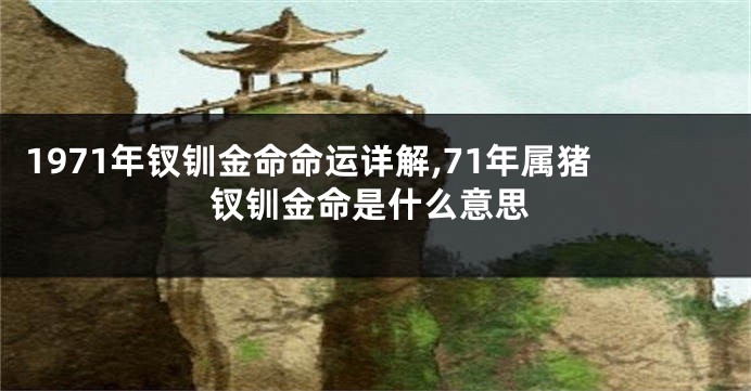 1971年钗钏金命命运详解,71年属猪钗钏金命是什么意思