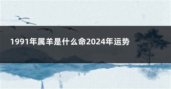 1991年属羊是什么命2024年运势