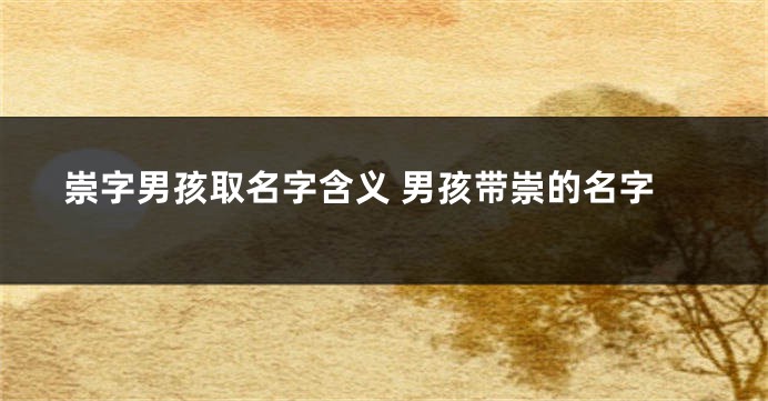 崇字男孩取名字含义 男孩带崇的名字