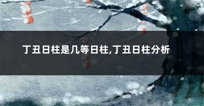 丁丑日柱是几等日柱,丁丑日柱分析