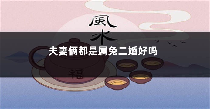 夫妻俩都是属兔二婚好吗