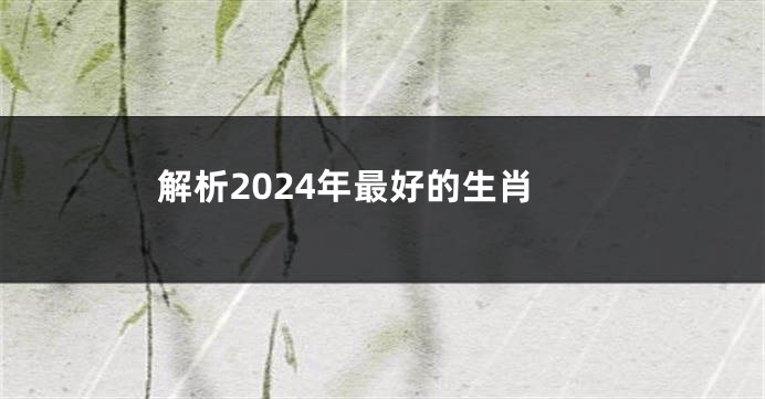 解析2024年最好的生肖