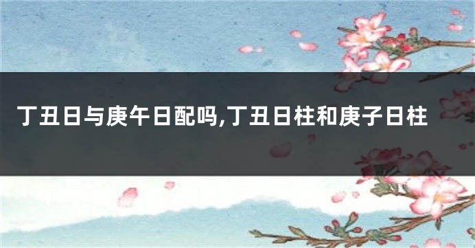 丁丑日与庚午日配吗,丁丑日柱和庚子日柱