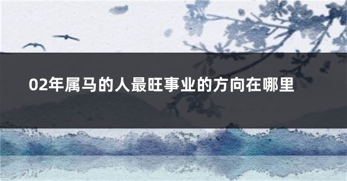 02年属马的人最旺事业的方向在哪里