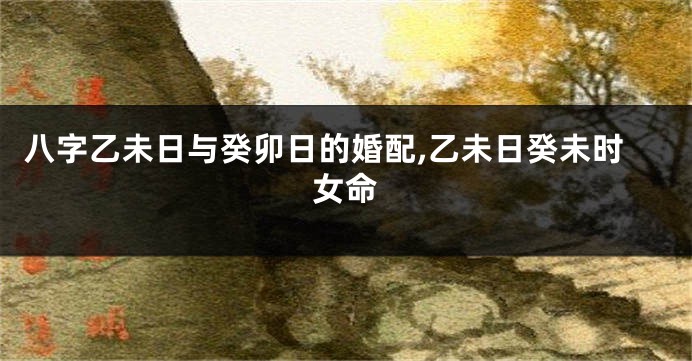八字乙未日与癸卯日的婚配,乙未日癸未时女命