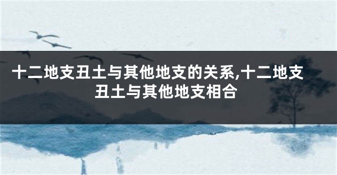 十二地支丑土与其他地支的关系,十二地支丑土与其他地支相合