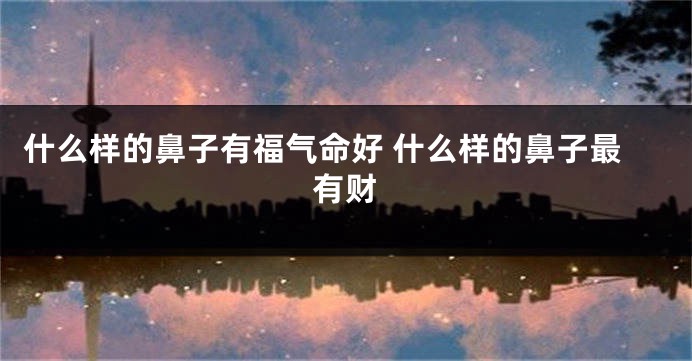 什么样的鼻子有福气命好 什么样的鼻子最有财