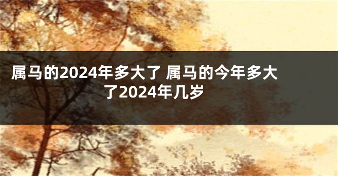 属马的2024年多大了 属马的今年多大了2024年几岁