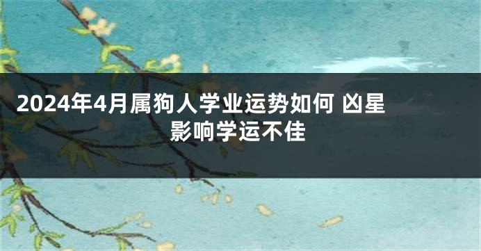 2024年4月属狗人学业运势如何 凶星影响学运不佳