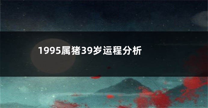 1995属猪39岁运程分析