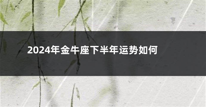 2024年金牛座下半年运势如何