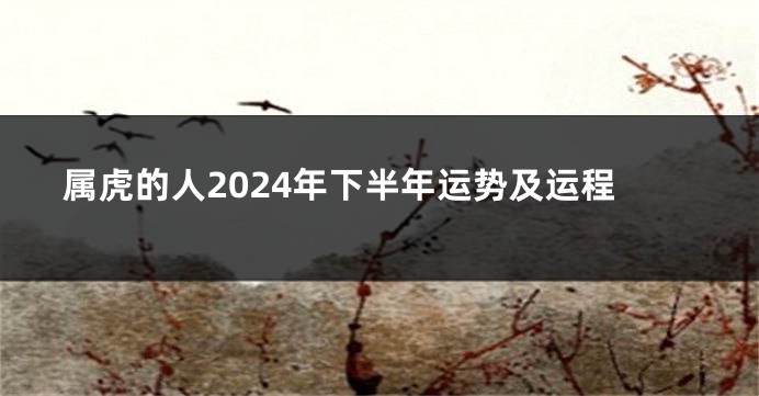 属虎的人2024年下半年运势及运程