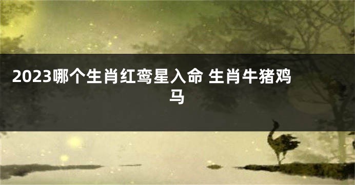 2023哪个生肖红鸾星入命 生肖牛猪鸡马
