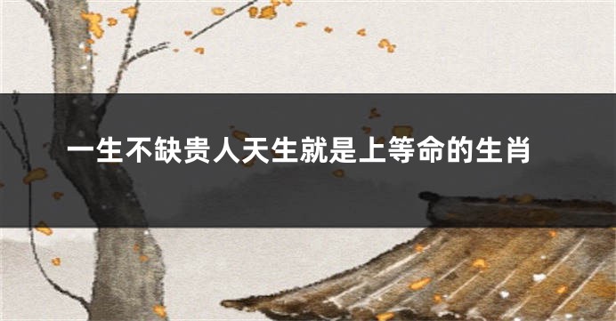 一生不缺贵人天生就是上等命的生肖