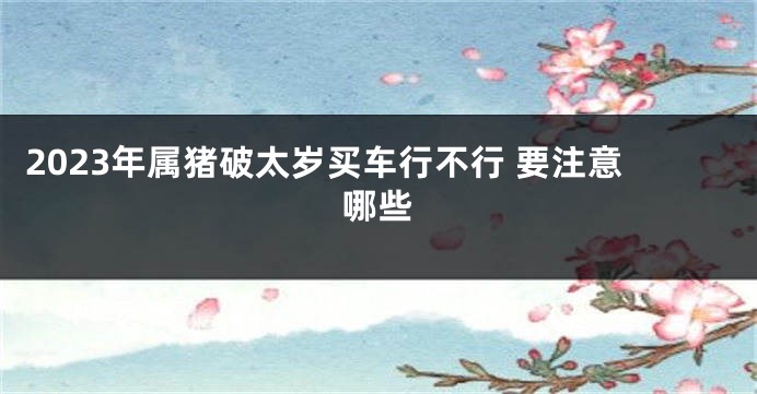 2023年属猪破太岁买车行不行 要注意哪些