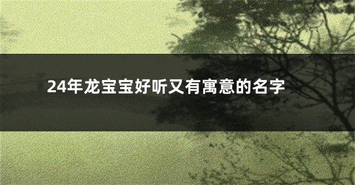 24年龙宝宝好听又有寓意的名字