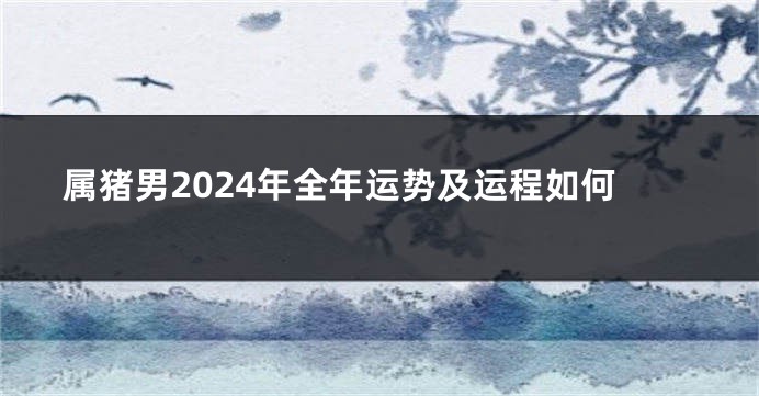 属猪男2024年全年运势及运程如何