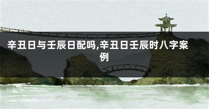 辛丑日与壬辰日配吗,辛丑日壬辰时八字案例