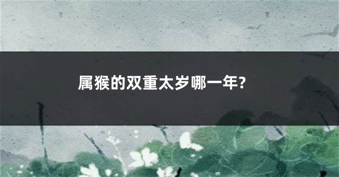 属猴的双重太岁哪一年?