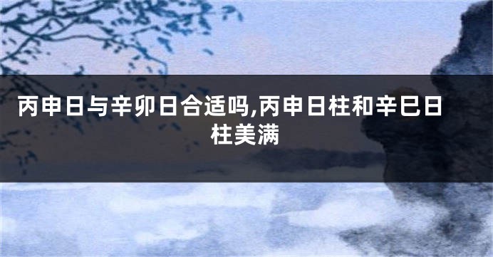 丙申日与辛卯日合适吗,丙申日柱和辛巳日柱美满