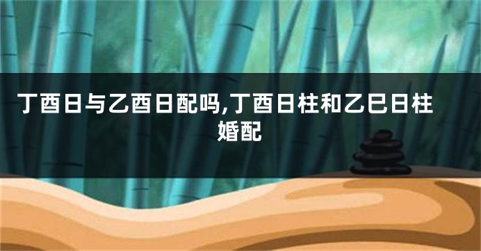 丁酉日与乙酉日配吗,丁酉日柱和乙巳日柱婚配
