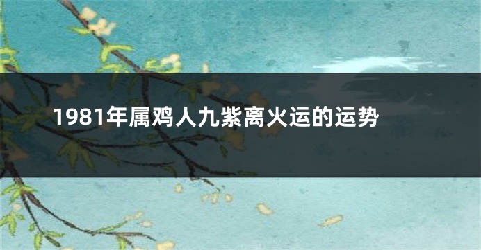 1981年属鸡人九紫离火运的运势