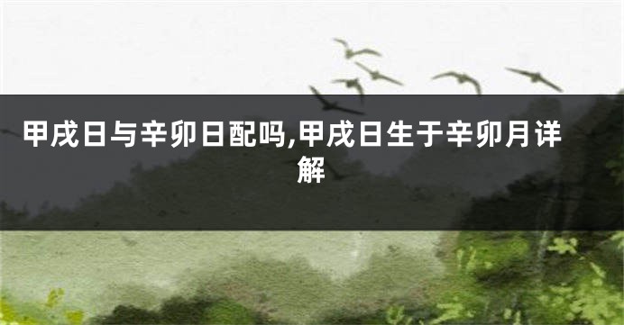 甲戌日与辛卯日配吗,甲戌日生于辛卯月详解