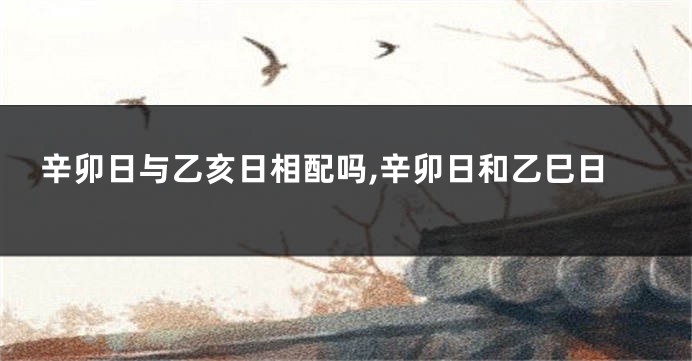 辛卯日与乙亥日相配吗,辛卯日和乙巳日