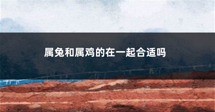 属兔和属鸡的在一起合适吗