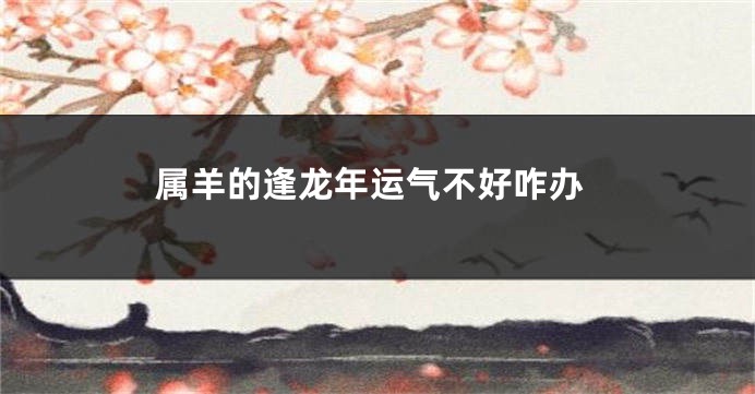 属羊的逢龙年运气不好咋办