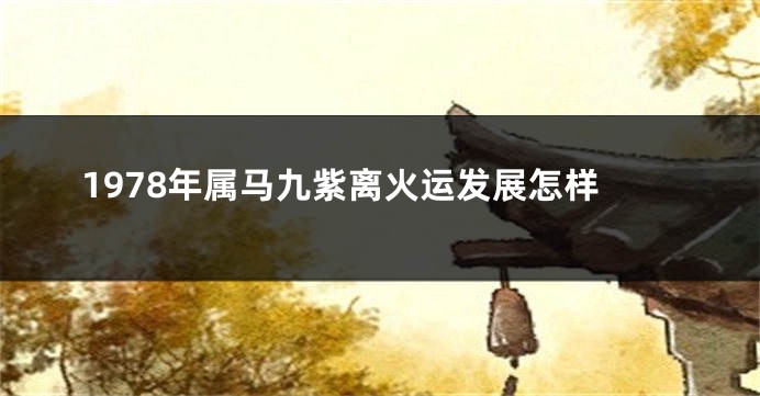 1978年属马九紫离火运发展怎样