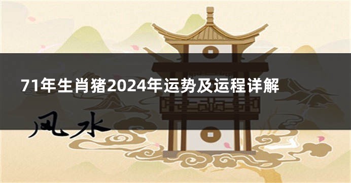 71年生肖猪2024年运势及运程详解