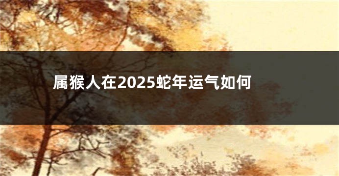 属猴人在2025蛇年运气如何