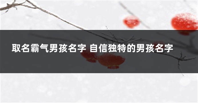 取名霸气男孩名字 自信独特的男孩名字