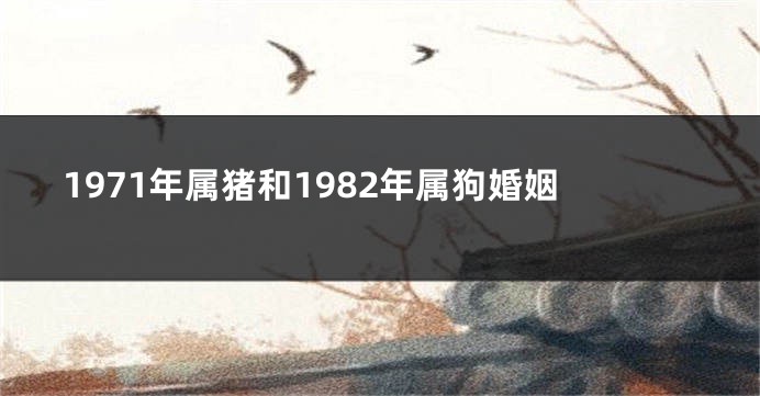1971年属猪和1982年属狗婚姻