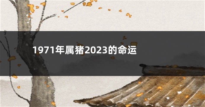 1971年属猪2023的命运