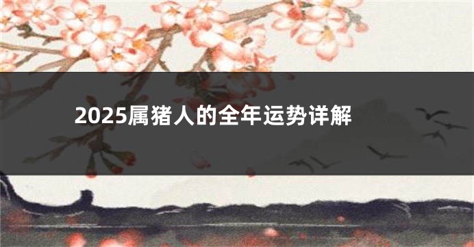 2025属猪人的全年运势详解