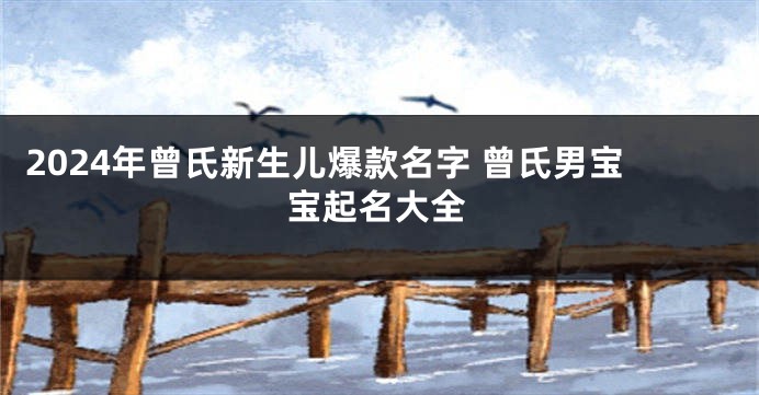 2024年曾氏新生儿爆款名字 曾氏男宝宝起名大全