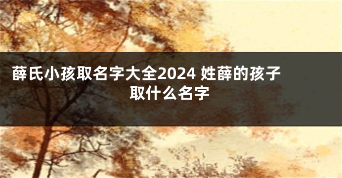薛氏小孩取名字大全2024 姓薛的孩子取什么名字