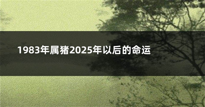 1983年属猪2025年以后的命运
