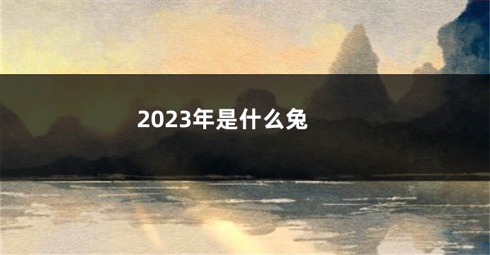 2023年是什么兔
