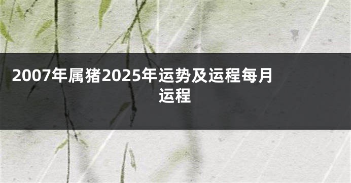 2007年属猪2025年运势及运程每月运程